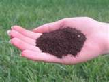 Earthworm castings are a terrific soil amendment.